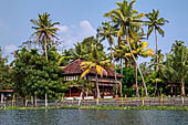 Kerala backwaters, our three hours neighborhood tour in the narrow canoe towards Vembanad Lake and along one of the  narrow canal running near our guest house at Kumarakom. 